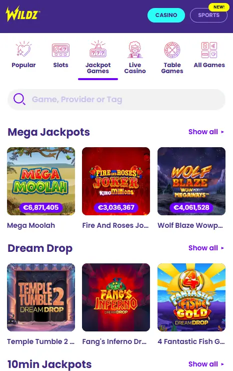 App UI and Mobile UI WILDZ CASINO